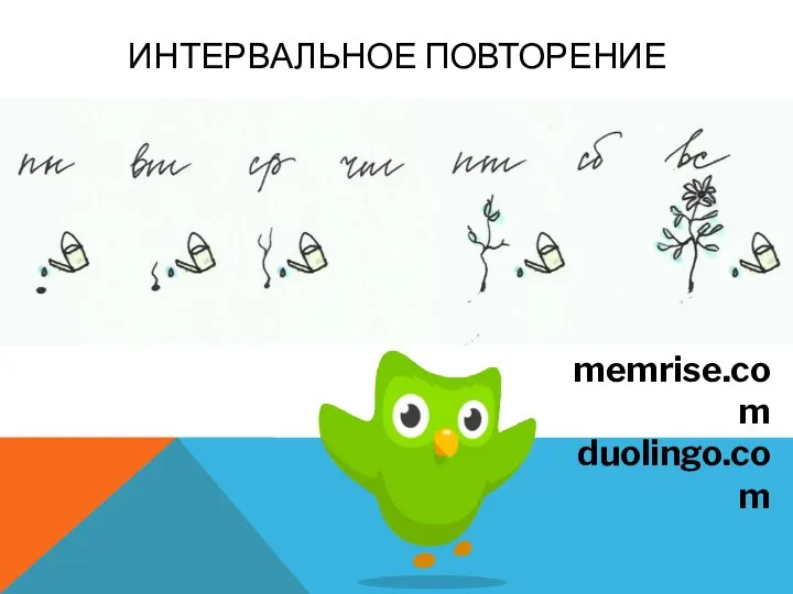 ИНТЕРВАЛЬНОЕ ПОВТОРЕНИЕ memrise.com duolingo.com