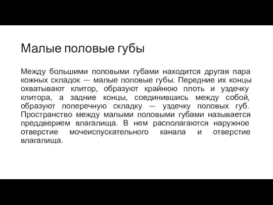 Малые половые губы Между большими половыми губами находится другая пара кожных складок