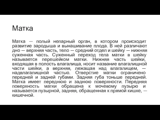 Матка Матка — полый непарный орган, в котором происходит развитие зародыша и