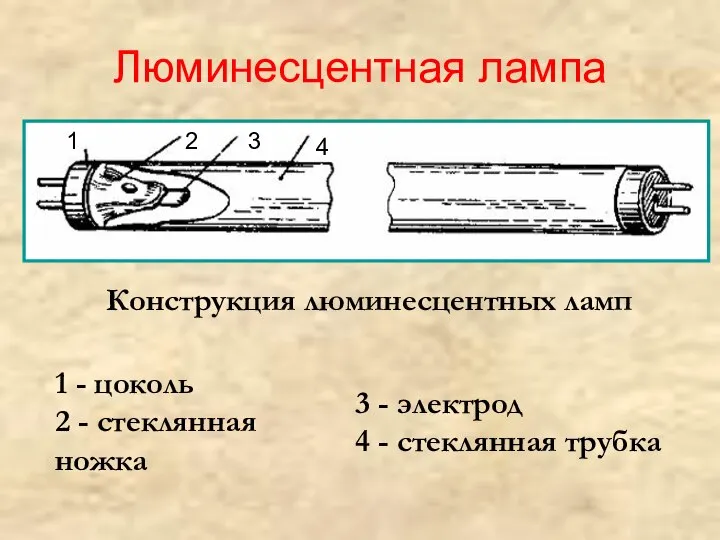 Люминесцентная лампа 1 2 3 4 Конструкция люминесцентных ламп 1 - цоколь