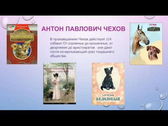 АНТОН ПАВЛОВИЧ ЧЕХОВ В произведениях Чехов действует 124 собаки! От огромных до