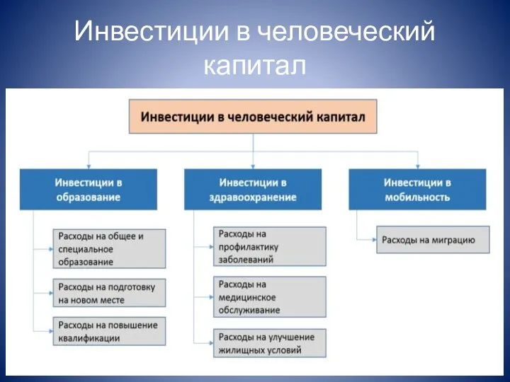 Инвестиции в человеческий капитал