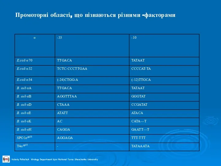 Промоторні області, що пізнаються різними -факторами