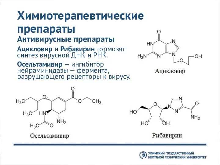 Химиотерапевтические препараты Антивирусные препараты Ацикловир и Рибавирин тормозят синтез вирусной ДНК и
