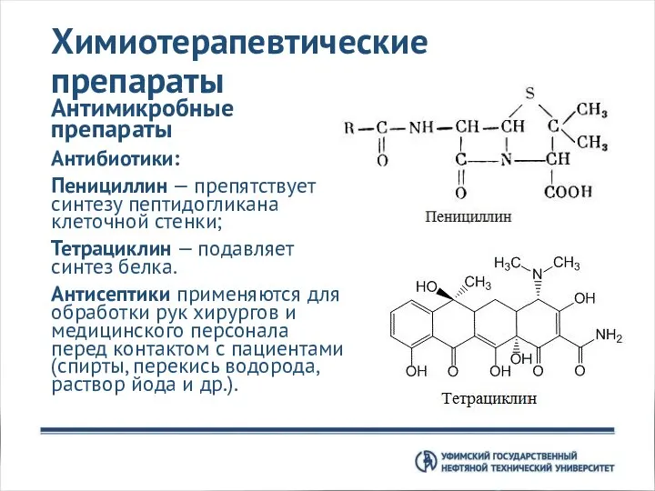 Химиотерапевтические препараты Антимикробные препараты Антибиотики: Пенициллин — препятствует синтезу пептидогликана клеточной стенки;