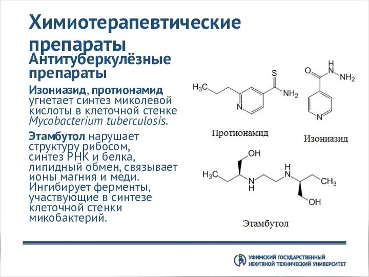 Химиотерапевтические препараты Антитуберкулёзные препараты Изониазид, протионамид угнетает синтез миколевой кислоты в клеточной