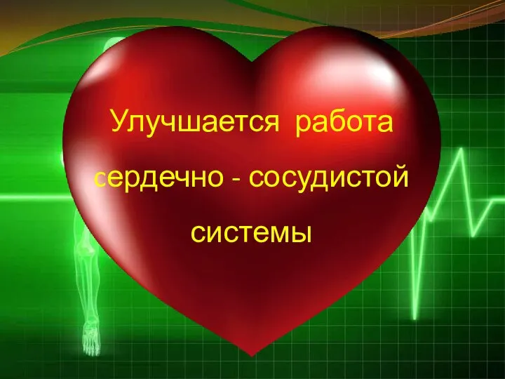 Улучшается работа cердечно - сосудистой системы