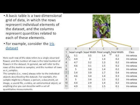 A basic table is a two-dimensional grid of data, in which the