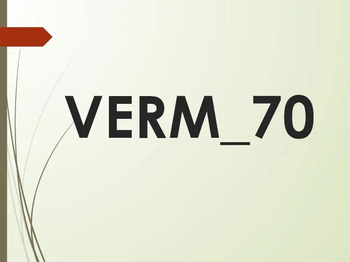 VERM_70