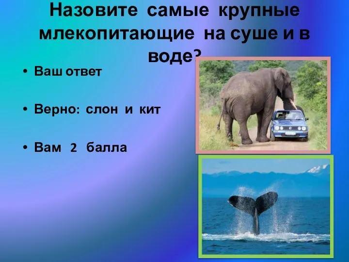 Назовите самые крупные млекопитающие на суше и в воде? Ваш ответ Верно: