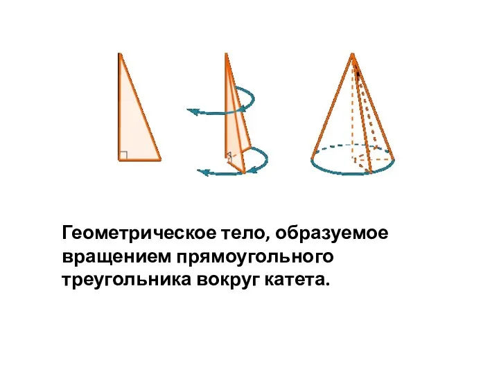 Геометрическое тело, образуемое вращением прямоугольного треугольника вокруг катета.