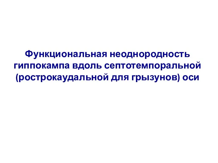 Функциональная неоднородность гиппокампа вдоль септотемпоральной (рострокаудальной для грызунов) оси