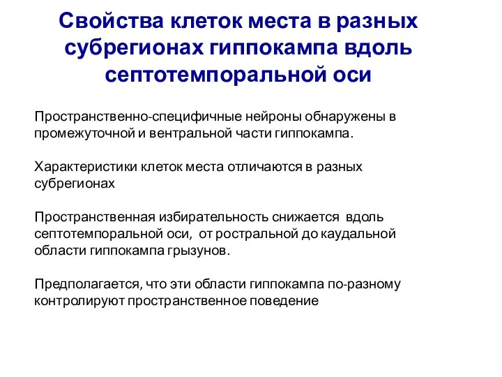 Свойства клеток места в разных субрегионах гиппокампа вдоль септотемпоральной оси Пространственно-специфичные нейроны