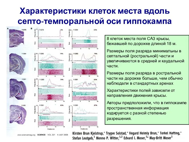 Характеристики клеток места вдоль септо-темпоральной оси гиппокампа 8 клеток места поля CA3