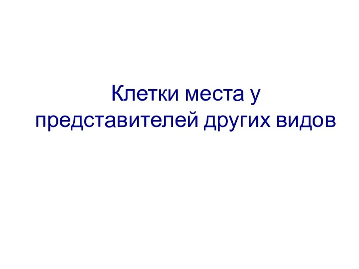 Клетки места у представителей других видов