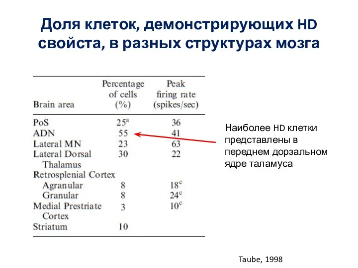 Доля клеток, демонстрирующих HD свойста, в разных структурах мозга Наиболее HD клетки