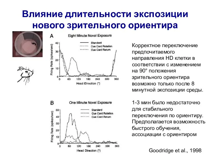 Влияние длительности экспозиции нового зрительного ориентира Goodridge et al., 1998 Корректное переключение