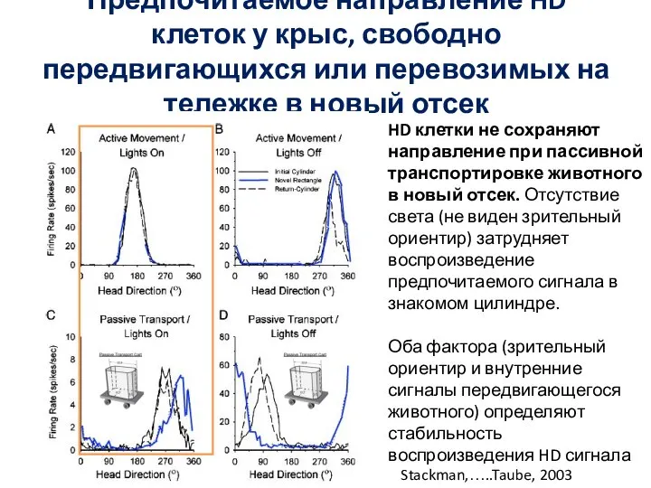 Предпочитаемое направление HD клеток у крыс, свободно передвигающихся или перевозимых на тележке