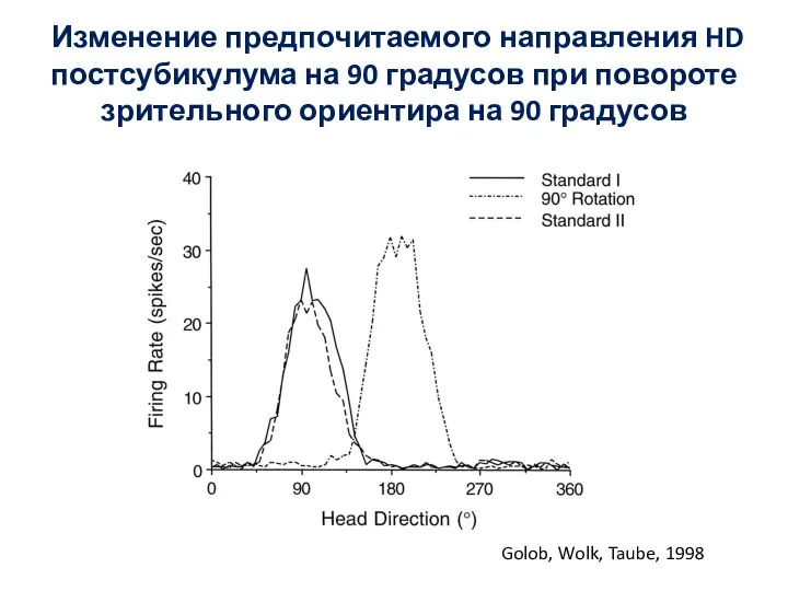 Изменение предпочитаемого направления HD постсубикулума на 90 градусов при повороте зрительного ориентира