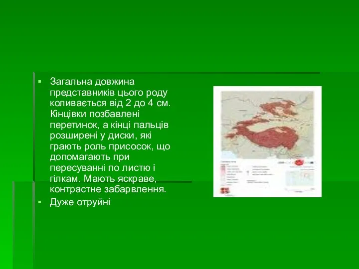 Загальна довжина представників цього роду коливається від 2 до 4 см. Кінцівки