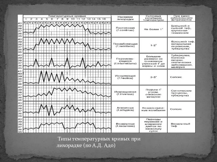 Типы температурных кривых при лихорадке (по А.Д. Адо)
