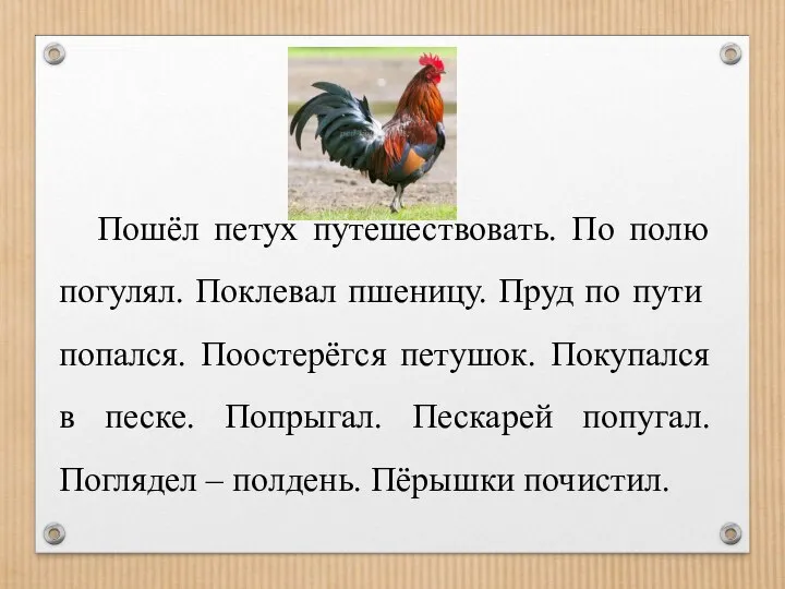 Пошёл петух путешествовать. По полю погулял. Поклевал пшеницу. Пруд по пути попался.