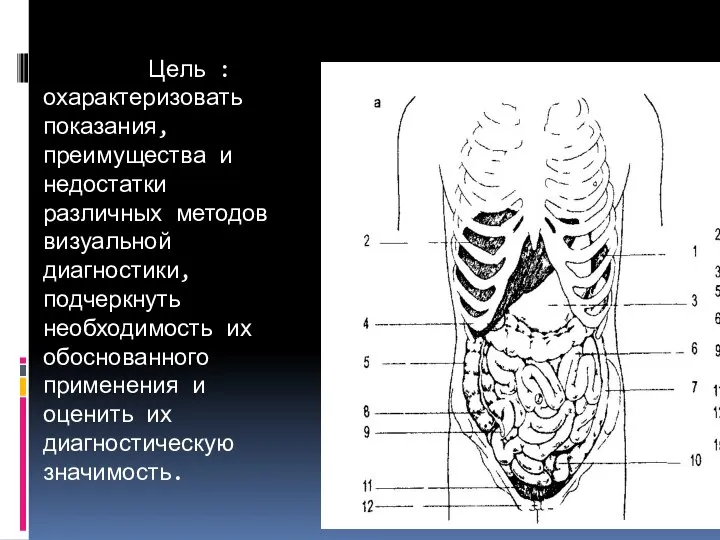 Цель : охарактеризовать показания, преимущества и недостатки различных методов визуальной диагностики, подчеркнуть