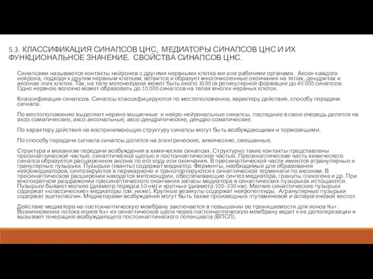 5.3. КЛАССИФИКАЦИЯ СИНАПСОВ ЦНС, МЕДИАТОРЫ СИНАПСОВ ЦНС И ИХ ФУНКЦИОНАЛЬНОЕ ЗНАЧЕНИЕ. СВОЙСТВА