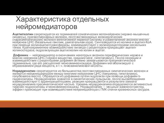 Характеристика отдельных нейромедиаторов Ацетилхолин секретируется из терминалей соматических мотонейронов (нервно-мышечные синапсы), преганглионарных