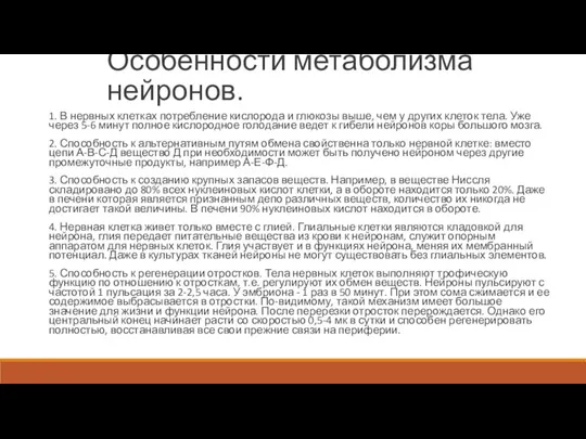 Особенности метаболизма нейронов. 1. В нервных клетках потребление кислорода и глюкозы выше,