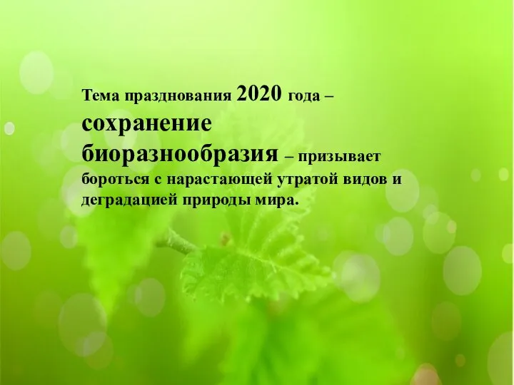 Тема празднования 2020 года – сохранение биоразнообразия – призывает бороться с нарастающей