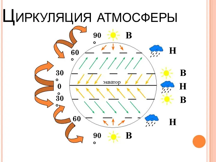 Циркуляция атмосферы экватор 0° 30° 90° 30° 60° 60° 90° В В
