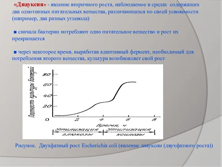 «Диауксия» - явление вторичного роста, наблюдаемое в средах содержащих два однотипных питательных