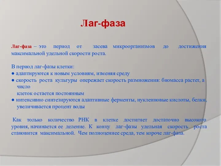 Лаг-фаза Лаг-фаза – это период от засева микроорганизмов до достижения максимальной удельной