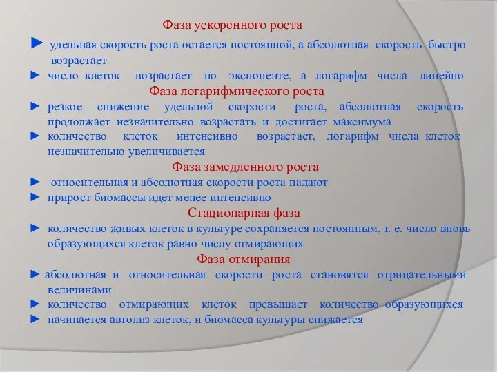 Фаза ускоренного роста ► удельная скорость роста остается постоянной, а абсолютная скорость