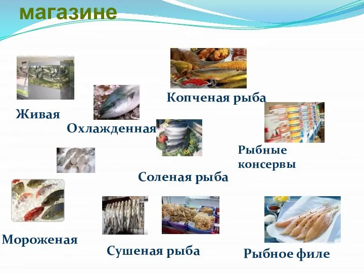 Ассортимент рыбы в магазине Живая Охлажденная Мороженая Копченая рыба Соленая рыба Сушеная