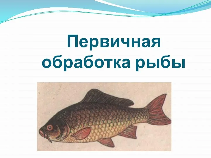 Первичная обработка рыбы