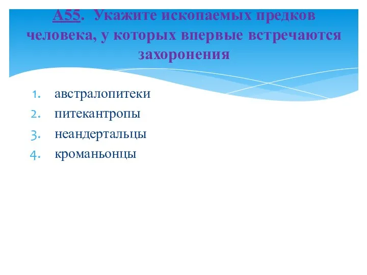 австралопитеки питекантропы неандертальцы кроманьонцы А55. Укажите ископаемых предков человека, у которых впервые встречаются захоронения