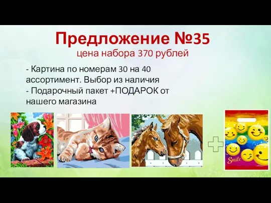 Предложение №35 цена набора 370 рублей - Картина по номерам 30 на