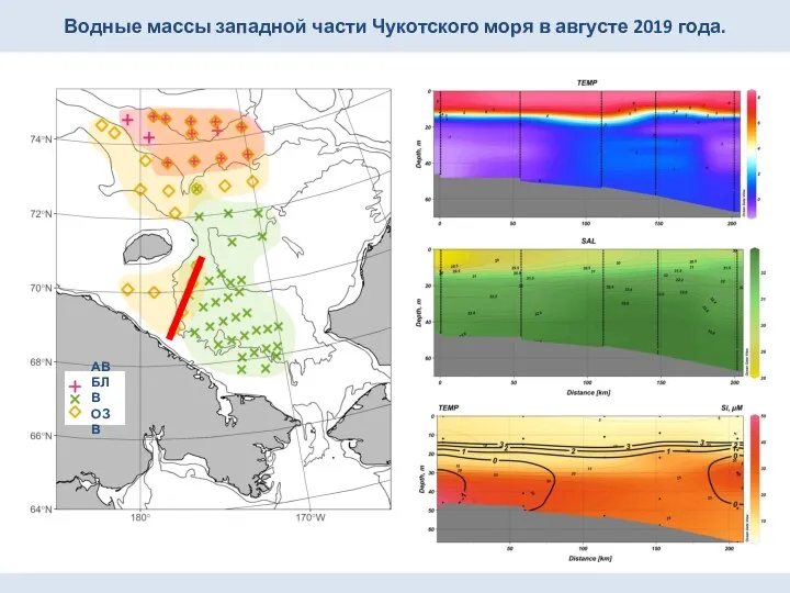 Водные массы западной части Чукотского моря в августе 2019 года. АВ БЛВ ОЗВ