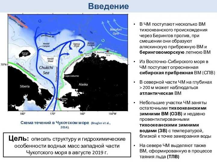 Введение Схема течений в Чукотском море (Brugler et al., 2014). В ЧМ