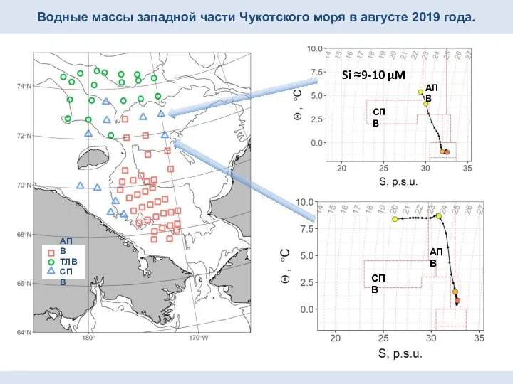 Водные массы западной части Чукотского моря в августе 2019 года. АПВ ТЛВ