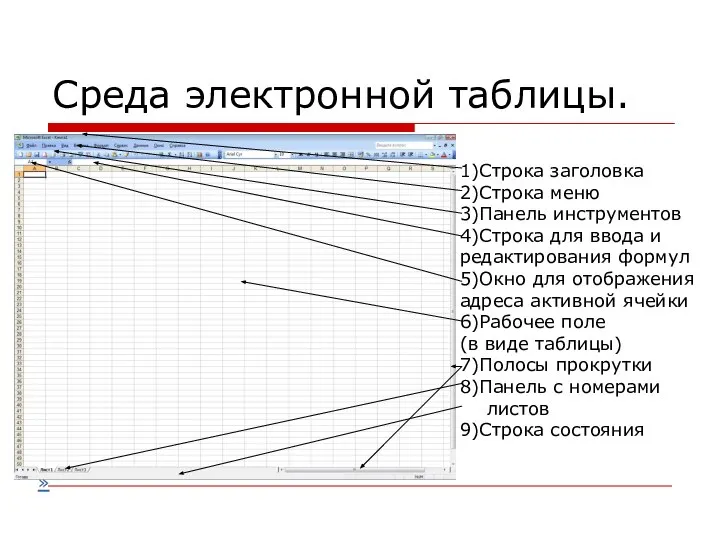 Среда электронной таблицы. 1)Строка заголовка 2)Строка меню 3)Панель инструментов 4)Строка для ввода