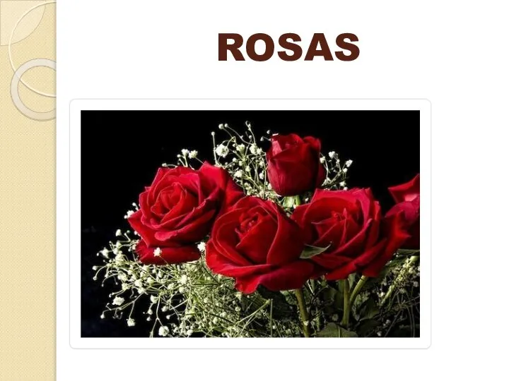 ROSAS