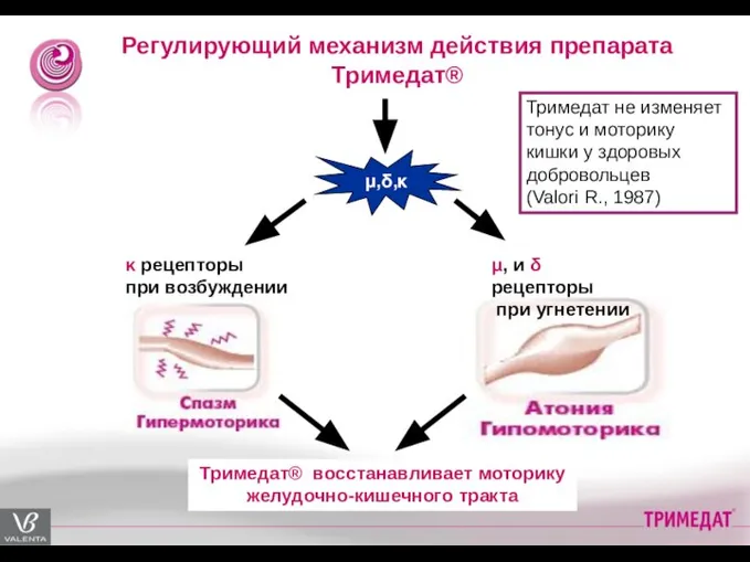 Регулирующий механизм действия препарата Тримедат® Тримедат® восстанавливает моторику желудочно-кишечного тракта κ рецепторы