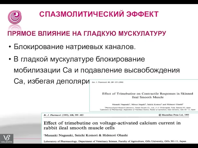 СПАЗМОЛИТИЧЕСКИЙ ЭФФЕКТ ПРЯМОЕ ВЛИЯНИЕ НА ГЛАДКУЮ МУСКУЛАТУРУ Блокирование натриевых каналов. В гладкой