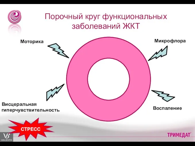 Порочный круг функциональных заболеваний ЖКТ Моторика Воспаление Висцеральная гиперчувствительность Микрофлора СТРЕСС