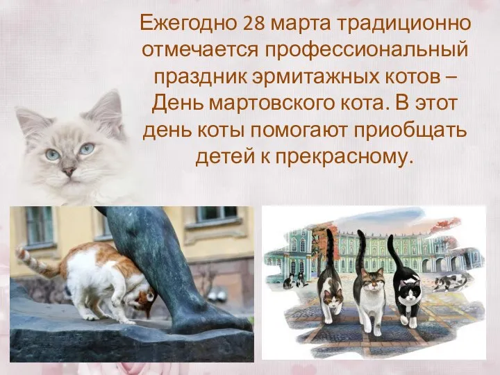 Ежегодно 28 марта традиционно отмечается профессиональный праздник эрмитажных котов – День мартовского