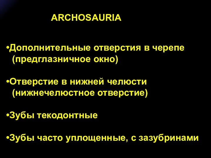 ARCHOSAURIA Дополнительные отверстия в черепе (предглазничное окно) Отверстие в нижней челюсти (нижнечелюстное
