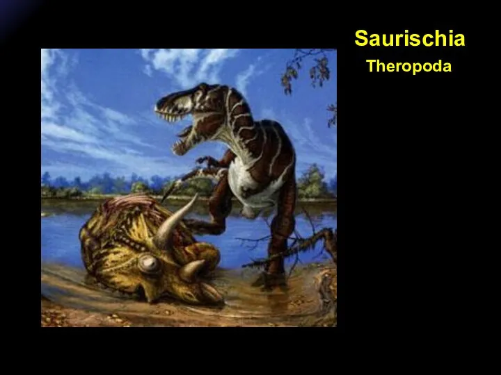 Saurischia Theropoda